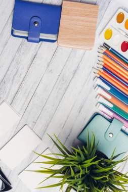 Ofisteki kırtasiye kağıtları kartvizit defterinin üzerinde ve saksıdaki çiçek.