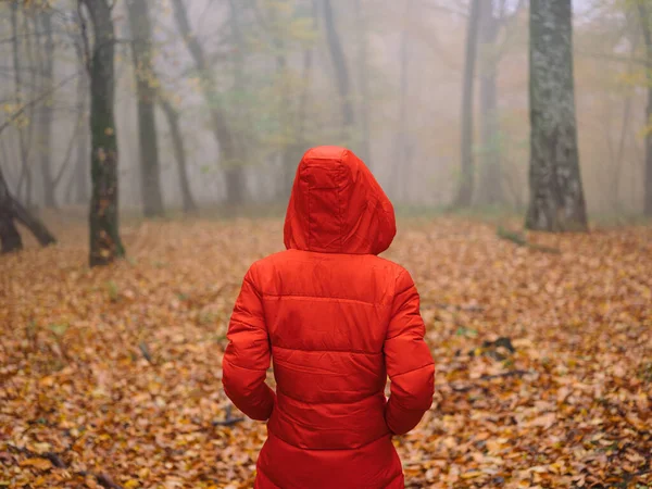 Nő piros dzsekiben ősszel Sárga levelek járnak a ködben — Stock Fotó