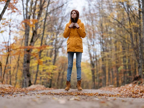 Жінка жовте листя осінній ліс природа свіже повітря високі дерева — стокове фото