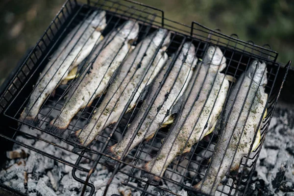 Pesce secco grigliato alla griglia natura Cibo — Foto Stock