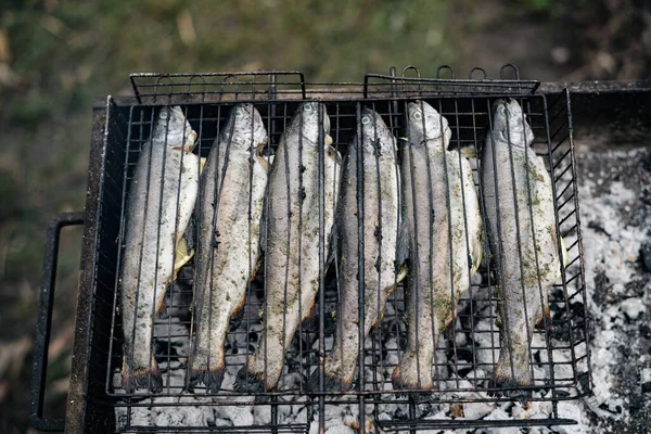 Пикник в лесу и жареная рыба на гриле крупным планом — стоковое фото