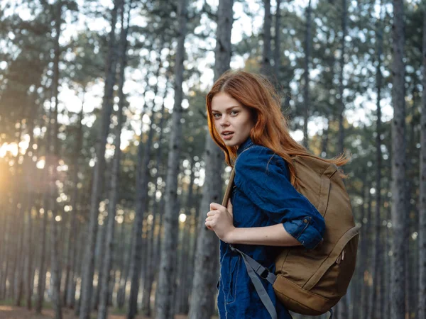 Traveler with a backpack at sunset in a pine forest — Stock Photo, Image