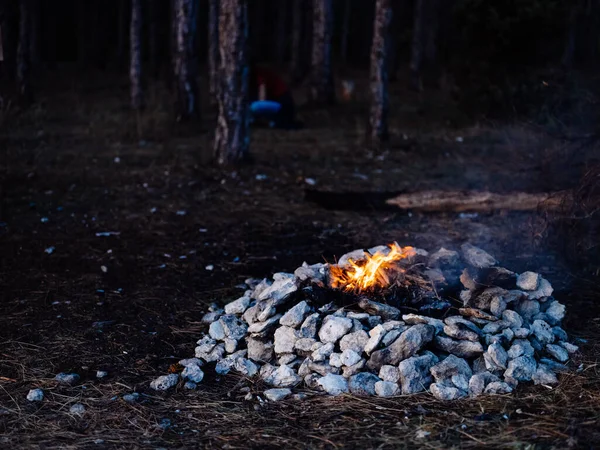 숲 과 나무의 자연 속에서 불을 피우며 — 스톡 사진