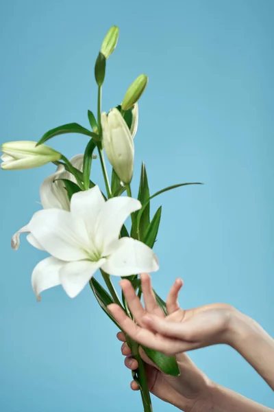 Ramo de flores blancas sobre fondo azul y vista femenina recortada a mano — Foto de Stock