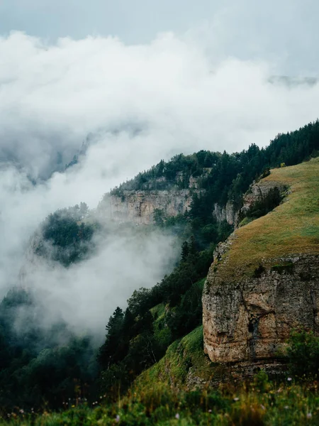Landschaft Berge Natur frische Luft Kiefern Provinz — Stockfoto