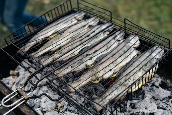 Piknik w lesie i grillowana suszona ryba na grillu zbliżenie — Zdjęcie stockowe