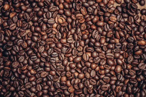 Grãos de café bebida matinal preparação arábica aromática — Fotografia de Stock