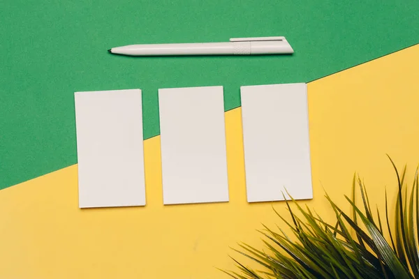 Визитные карточки белый бумажный офис письменный стол цветочный горшок — стоковое фото