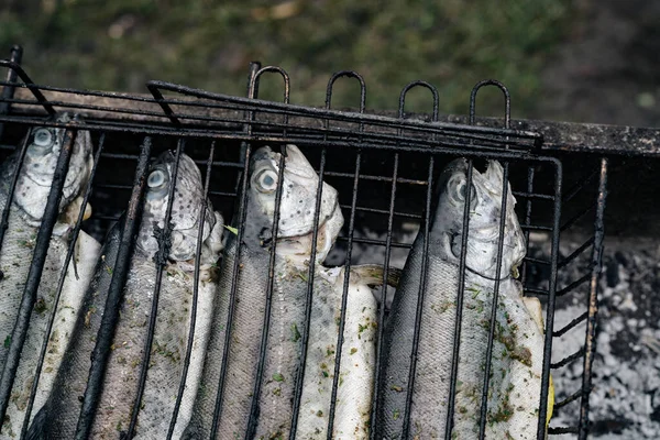 Peixe seco grelhado na grelha ao ar livre Piquenique close-up — Fotografia de Stock