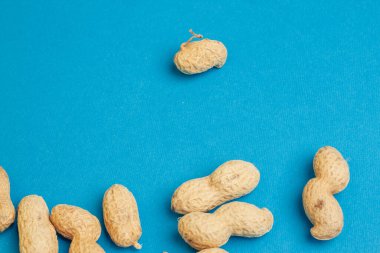 Bira fincanı. Kabuklu fıstık. Ahşap arka planda bar içkisi.