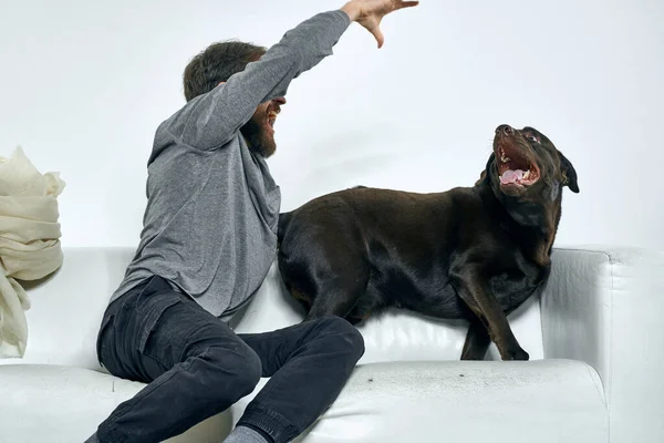 Мужчина дома на диване с собачьим весельем — стоковое фото