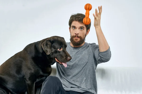 Hombre en casa con pura raza perro en el sofá amistad divertido — Foto de Stock