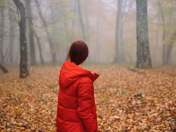 Go on a red jacket autumn walk the fog yellow leaves journey. High quality photo