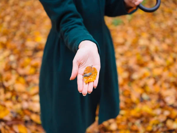Женщина держит в руке осенний лист природы ходить свежий воздух — стоковое фото