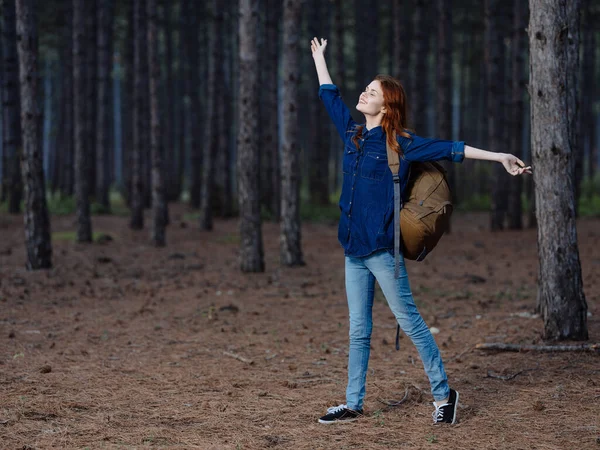 Caminante mujer están descansando en el bosque con una mochila en la espalda entre los pinos altos —  Fotos de Stock