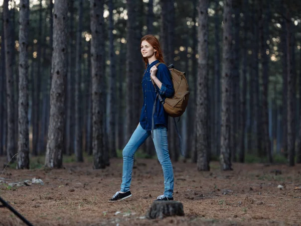 Turista mujer en pleno crecimiento en un bosque de pinos con una mochila en la espalda —  Fotos de Stock