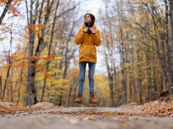 Mulher folhas amarelas outono floresta natureza ar fresco árvores altas — Fotografia de Stock