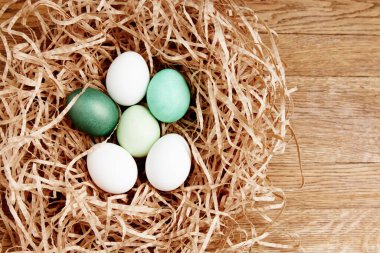 Paskalya tatili için yuva dekorasyonunda yumurta boyası.