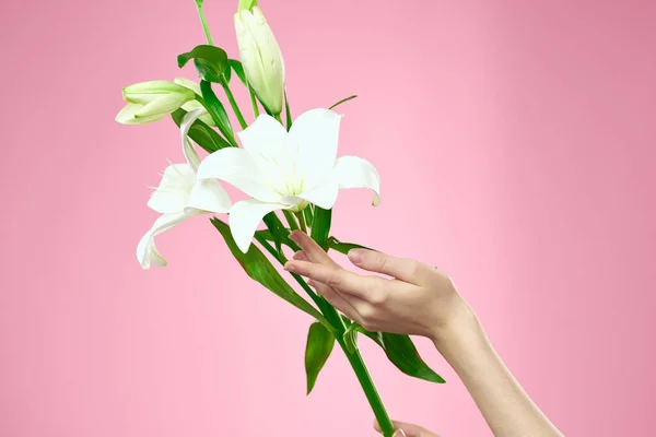 Ramo de flores blancas sobre fondo rosa y vista femenina recortada a mano — Foto de Stock