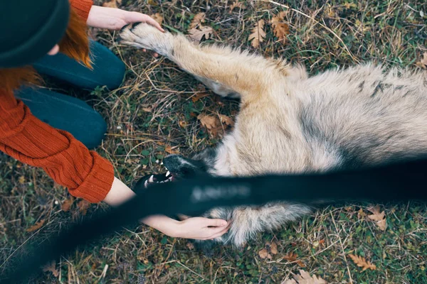 Pode me uma mulher Turista na natureza brincando com um cão viagem amizade — Fotografia de Stock