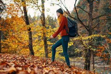 Sırt çantalı bir kadın gezgin. Sonbaharda doğa manzaralı parkta yürüyor.