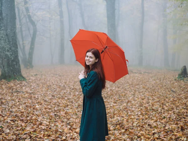 Mulher bonita com guarda-chuva vermelho no outono na natureza folhas amarelas passeio — Fotografia de Stock