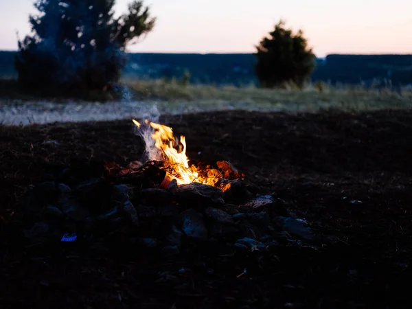 Φωτιά στη φύση στο δάσος και ψηλά πεύκα στο βάθος — Φωτογραφία Αρχείου