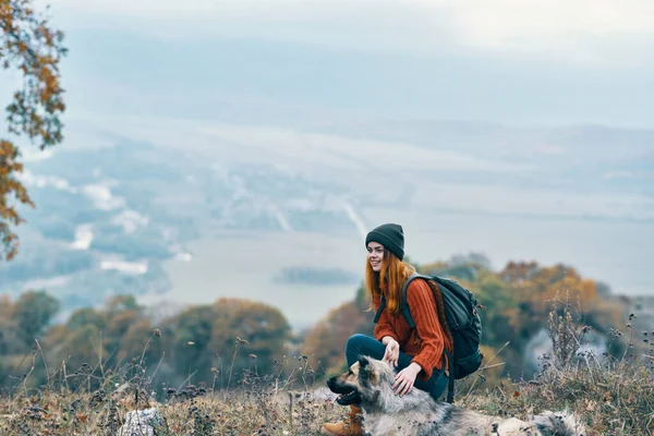 Mujer excursionista admira la naturaleza en las montañas junto a la amistad perro —  Fotos de Stock