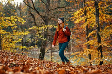 Sırtında kot pantolon ve sonbahar orman manzarasında kırmızı bir kazakla gezen mutlu bir kadın yürüyüşçü.