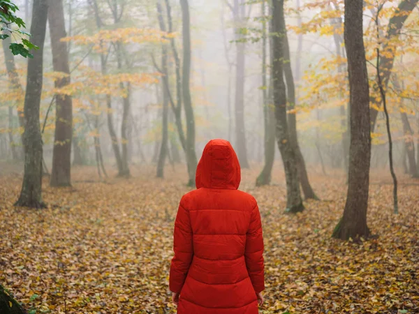 Jolie femme en automne dans la forêt brouillard marcher pluie — Photo