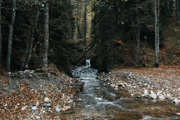 Herfst bos natuur bergen rivier vers lucht reizen toerisme — Stockfoto