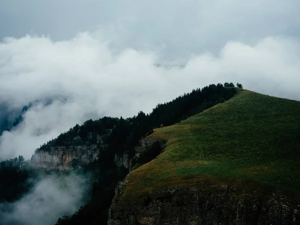 Landschaft Berge Natur frische Luft Kiefern Provinz — Stockfoto