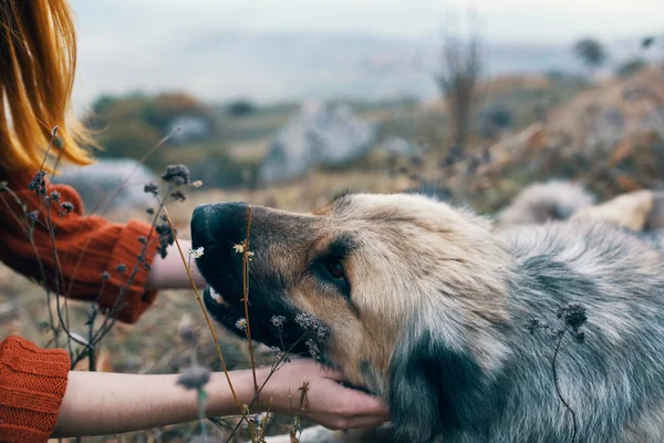 Kobieta turysta natura bawi się z psem podróży przyjaźń — Zdjęcie stockowe