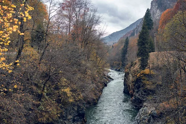 stock image mountains autumn forest river landscape nature travel