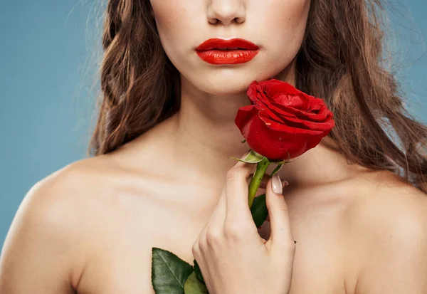 Romantyczna kobieta z czerwoną różą obnażone ramiona i niebieskie tło brunetka — Zdjęcie stockowe