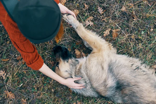 Pouvez-moi une femme Touriste dans la nature jouer avec un chien Voyage amitié — Photo