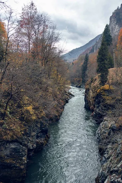 Rivière entre les montagnes automne forêt Voyage air frais — Photo