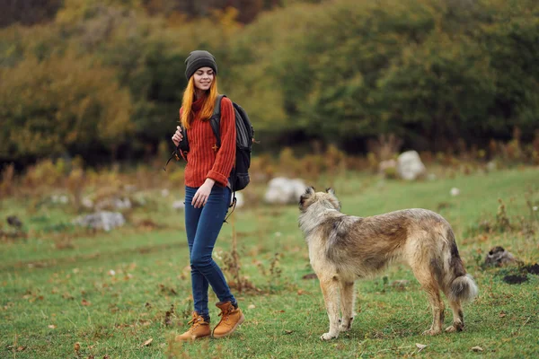 秋天快乐的女人带着爱犬旅行的友谊旅游 — 图库照片