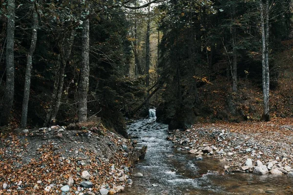 Herfst bos natuur bergen rivier vers lucht reizen toerisme — Stockfoto