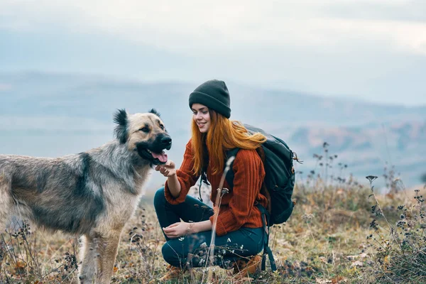 Mulher alegre caminhante caminha o cão na natureza na paisagem montanhas — Fotografia de Stock