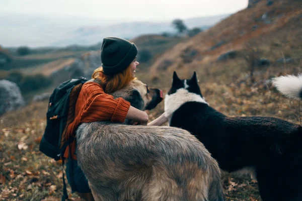 Alegre mujer excursionista jugando con perro naturaleza paisaje montañas amistad —  Fotos de Stock