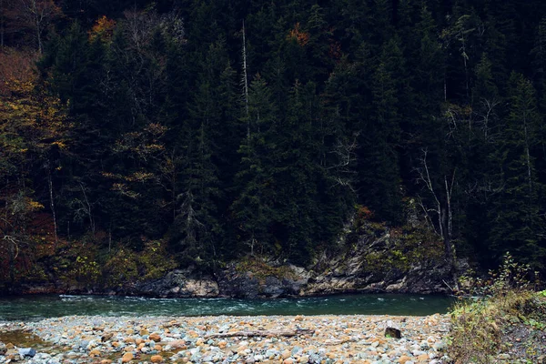 Góry w lesie jesień rzeka krajobraz natura świeże powietrze — Zdjęcie stockowe