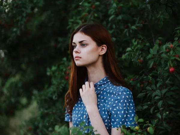 Žena v modrých šatech v blízkosti zelených keřů v zahradě v přírodě — Stock fotografie