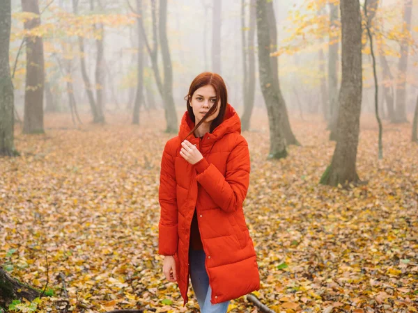 Kobieta czerwona kurtka w lesie jesienią Żółte liście chodzić na zewnątrz — Zdjęcie stockowe
