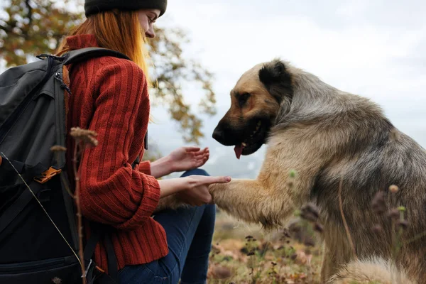 Женщина турист рядом с собакой и природой — стоковое фото