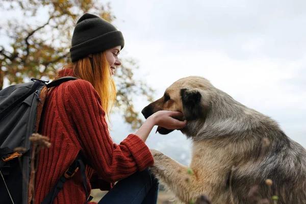 Mulher turista ao lado de cão e natureza amizade viagem divertida — Fotografia de Stock