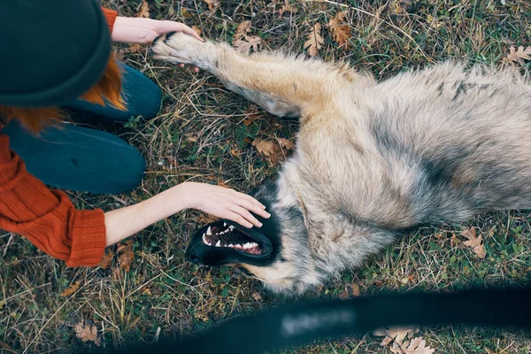 Pode me uma mulher Turista na natureza brincando com um cão viagem amizade — Fotografia de Stock