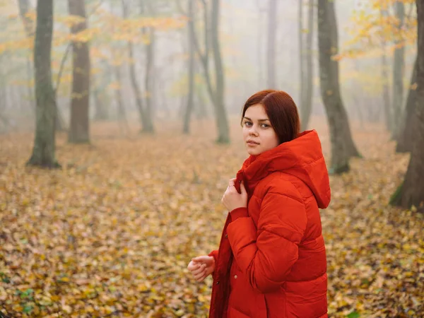 Nő piros kabát az erdőben ősszel Sárga levelek sétálnak a szabadban — Stock Fotó