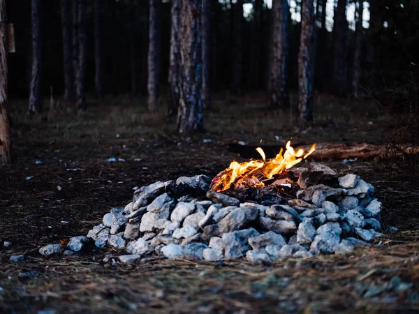 숲 과 나무의 자연 속에서 불을 피우며 — 스톡 사진