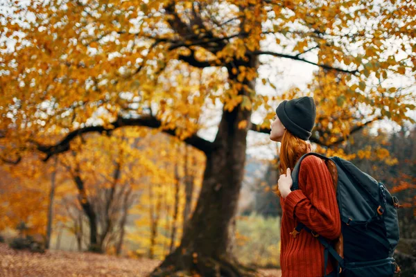Žena ve svetru procházky v parku na podzim příroda krajina čerstvý vzduch Model batoh — Stock fotografie